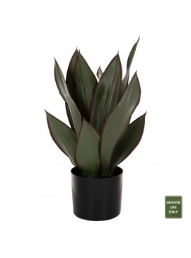 ΔΙΑΚΟΣΜΗΤΙΚΟ ΣΥΝΘΕΤΙΚΟ ΦΥΤΟ HM7996 ΠΛΑΤΥΦΥΛΛΗ ΣΑΝΣΕΒΙΕΡΙΑ ΣΕ ΓΛΑΣΤΡΑ Φ14x12-51Υεκ.