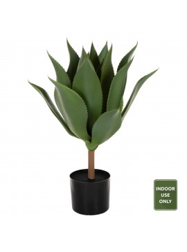 ΔΙΑΚΟΣΜΗΤΙΚΟ ΣΥΝΘΕΤΙΚΟ ΦΥΤΟ HM7998 ΠΛΑΤΥΦΥΛΛΗ ΑΓΑΥΗ ΣΕ ΓΛΑΣΤΡΑ Φ15x12,5-62Υεκ.