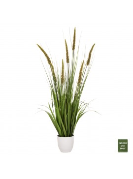 ΔΙΑΚΟΣΜΗΤΙΚΟ ΣΥΝΘΕΤΙΚΟ ΦΥΤΟ HM7999 OPHIUROS ΣΕ ΓΛΑΣΤΡΑ 130Υεκ.