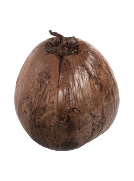 ΕΠΙΤΡΑΠΕΖΙΟ ΔΙΑΚΟΣΜΗΤΙΚΟ HM4326.01 ΚΑΡΥΔΑ ΣΕ ΦΥΣΙΚΟ ΧΡΩΜΑ 20x20x20Υεκ