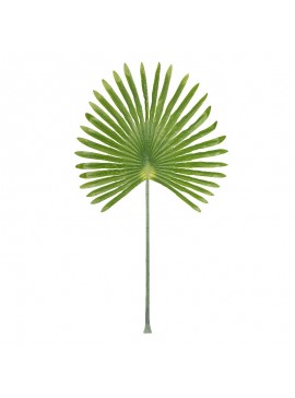 Artekko Faux Τεχνητό Φύλλο Φοίνικα Πλαστικό Ύφασμα Πράσινο (59x3x103)cm Artekko F4532-LTGR