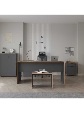 Τραπεζάκι σαλονιού - γραφείου Rio Megapap χρώμα ανθρακί 60x40x43εκ.