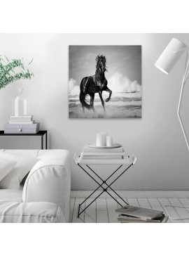 Πίνακας σε καμβά "Black Horse" Megapap ψηφιακής εκτύπωσης 60x60x3εκ. 0127991 arte-0127991