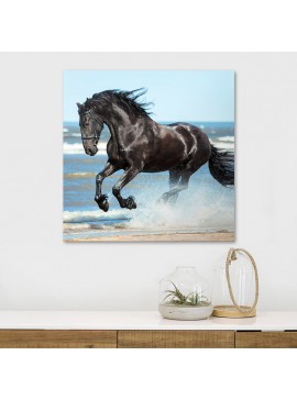Πίνακας σε καμβά "Black Horse" Megapap ψηφιακής εκτύπωσης 60x60x3εκ.