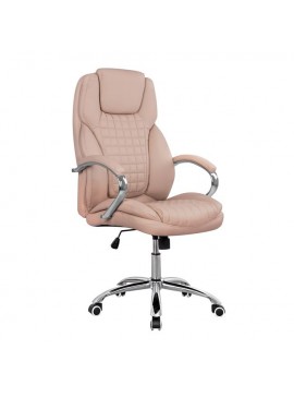 Intrahome ΚΑΡΕΚΛΑ ΓΡΑΦΕΙΟΥ BLOEMFONTEIN ΔΙΕΥΘΥΝΤΙΚΗ .07 ΚΑΠΟΥΤΣΙΝΟ 65x80x127PIETERMARITZBURG intraho-1631899