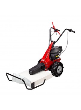 EUROSYSTEMS Χορτοκοπτικό EUROSYSTEMS MINIEFFE Briggs n' Stratton katsar-967310000