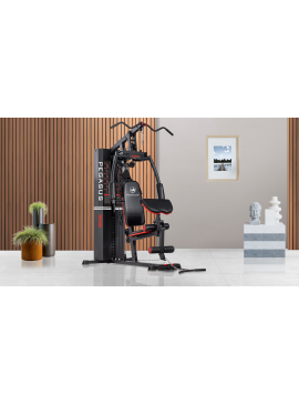 Pegasus® Πολυόργανο Pegasus® MS-600 Λ-5210