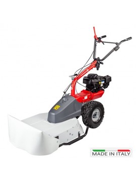Καταστροφέας Χόρτου EUROSYSTEMS P70 EVO Briggs&Stratton 1000 PXi Αυτοκινούμενος KIDO-
27/770