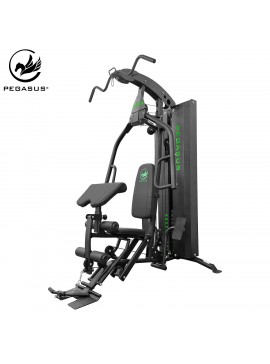 Pegasus® Pegasus® Πολυόργανο με βάρη HG4 Λ-5215
