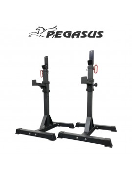 Pegasus® Pegasus® Ρυθμιζόμενοι Ορθοστάτες (OK0043B) Λ-5415