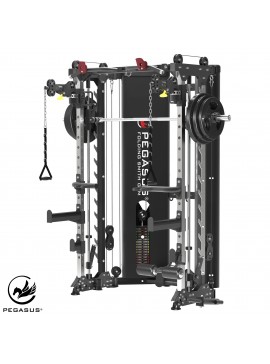 Pegasus® Pegasus® Αναδιπλούμενο All-In-One Trainer PG-3000 392211318