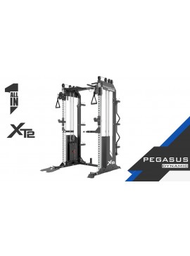 Pegasus® Pegasus® XT2 (Functional Trainer, Κλωβός, All-in-One) Λ-639