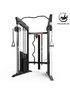 Pegasus® Pegasus® Fuctional Trainer FM-500 Λ-5500