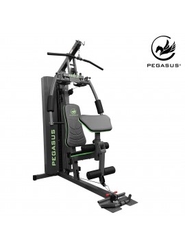 Pegasus® Pegasus® Πολυόργανο με βάρη HG2 308810101