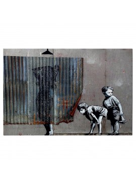 ΠΙΝΑΚΑΣ TOIXOY ΣΕΙΡΑ GOBI HM4821 ΕΚΤΥΠΩΜΕΝΟΣ ΚΑΜΒΑΣ 70x3(πάχος)x50Yεκ.