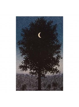 ΠΙΝΑΚΑΣ TOIXOY ΣΕΙΡΑ GOBI HM4850 ΕΚΤΥΠΩΜΕΝΟΣ ΚΑΜΒΑΣ 45x3(πάχος)x70Yεκ.