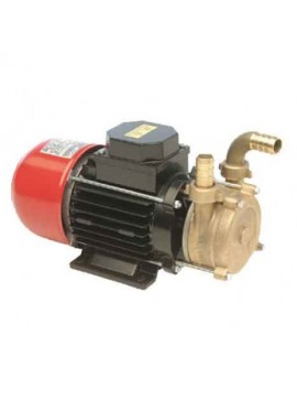 Αντλία Μεταγγίσεων Tellarini ECC 12/20 12Volt 3/4" 0,3HP 2400στρ. Ορειχάλκινη KIDO-
692/142