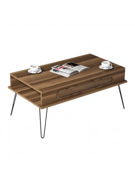 ΤΡΑΠΕΖΙ ΣΑΛΟΝΙΟΥ ΜΕΛΑΜΙΝΗΣ HM9500.02 ΣΕ ΚΑΡΥΔΙ-ΜΕΤΑΛΛΙΚΑ ΠΟΔΙΑ 105x56x45.8Υεκ.