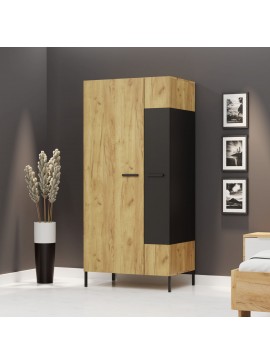 Δίφυλλη Ντουλάπα Santes Χρυσό Δρυς-Γραφίτης 90x60x197.5cm TO-SANTES2D