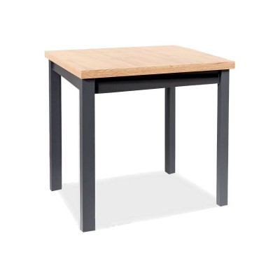 https://diommi.bg/image/catalog/signalproductsxml/ADAMDAC90/Adam_artisan_czarny_65x90.jpg
