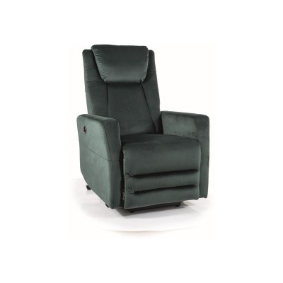 https://diommi.bg/image/catalog/signalproductsxml/ADONISVZ/ADONIS_Velvet_zielony_78_DSF2771.jpg