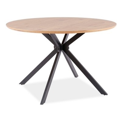 https://diommi.bg/image/catalog/signalproductsxml/ASTERDCFI120/Aster_A7M4107.jpg