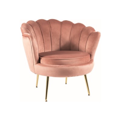 https://diommi.bg/image/catalog/signalproductsxml/CAMELLIAV1RAZL/CAMELIA_1_Velvet_roz_1000933.jpg