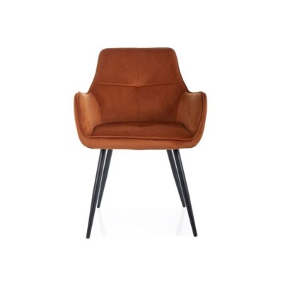 https://diommi.bg/image/catalog/signalproductsxml/GRAPEVCCY/GRAPEVCCY_KRZESLO_GRAPE_VELVET_CZARNY_STELAZ_CYNAMON_BLUVEL_4215.jpg