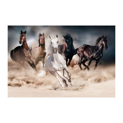 https://diommi.bg/image/catalog/signalproductsxml/HORSES120/poziom_horses.jpg
