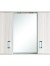 GL FINO II - ΕΡΜΑΡΙΟ PVC 78*67*13.5 ΜΕ ΔΥΟ ΦΩΤΑ SKY 41-0010