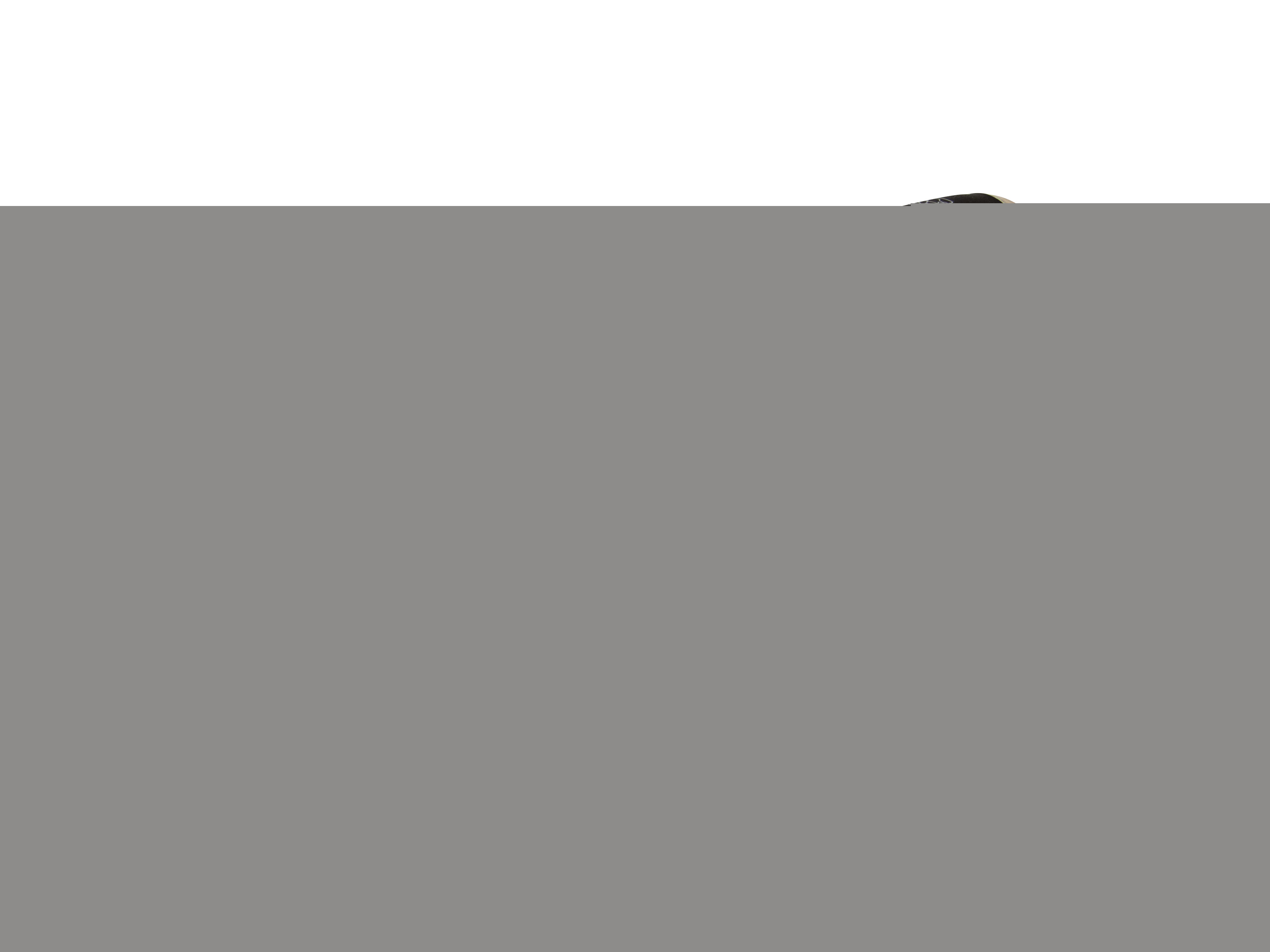 COME ΣΠΑΤΟΥΛΑ STUCCO VENEZIANO ΡΟΜΒΟΣ BIANKO 240x120x100x0.6mm 310LRBI240 LEUKA-05-8974 COME ΣΠΑΤΟΥΛΑ STUCCO VENEZIANO ΡΟΜΒΟΣ BIANKO 240x120x100x0.6mm 310LRBI240 LEUKA-05-8974