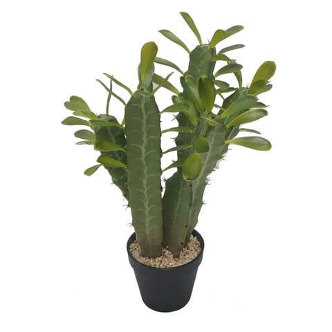 Artekko Phiuge Τεχνητός Κάκτος με Κασπώ (28x13x48)cm Artekko F29565