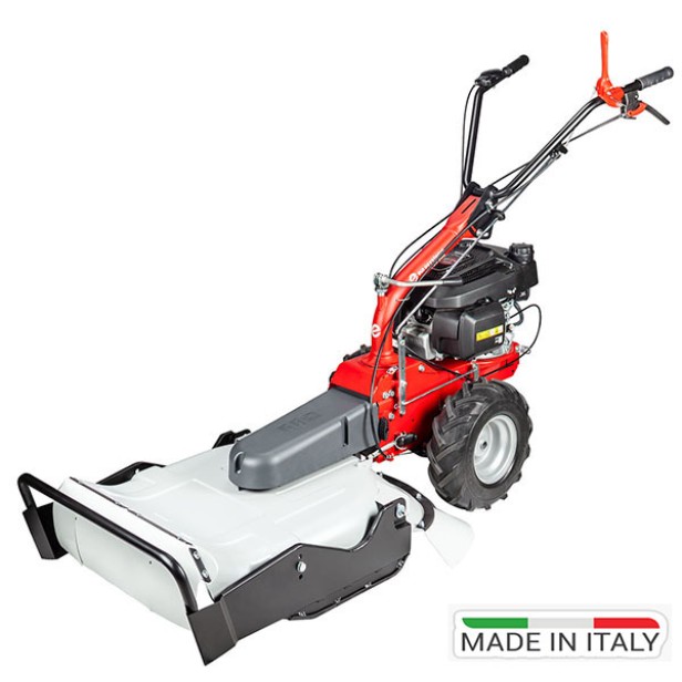 Καταστροφέας Χόρτου Ιταλίας Briggs & Stratton 675 Αυτοκινούμενος P55 Eurosystems KIDO-
27/135