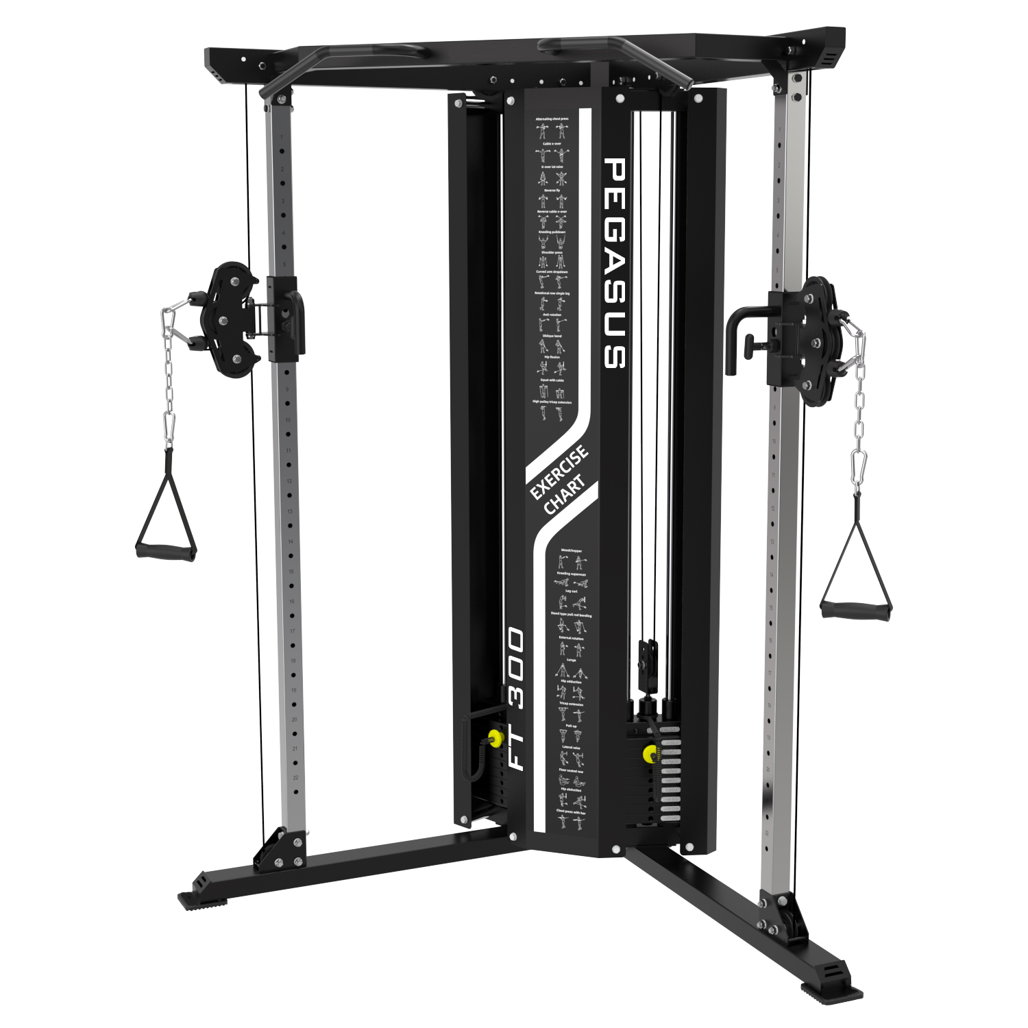 Pegasus® Pegasus® Functional Trainer FT-300 Λ-5422