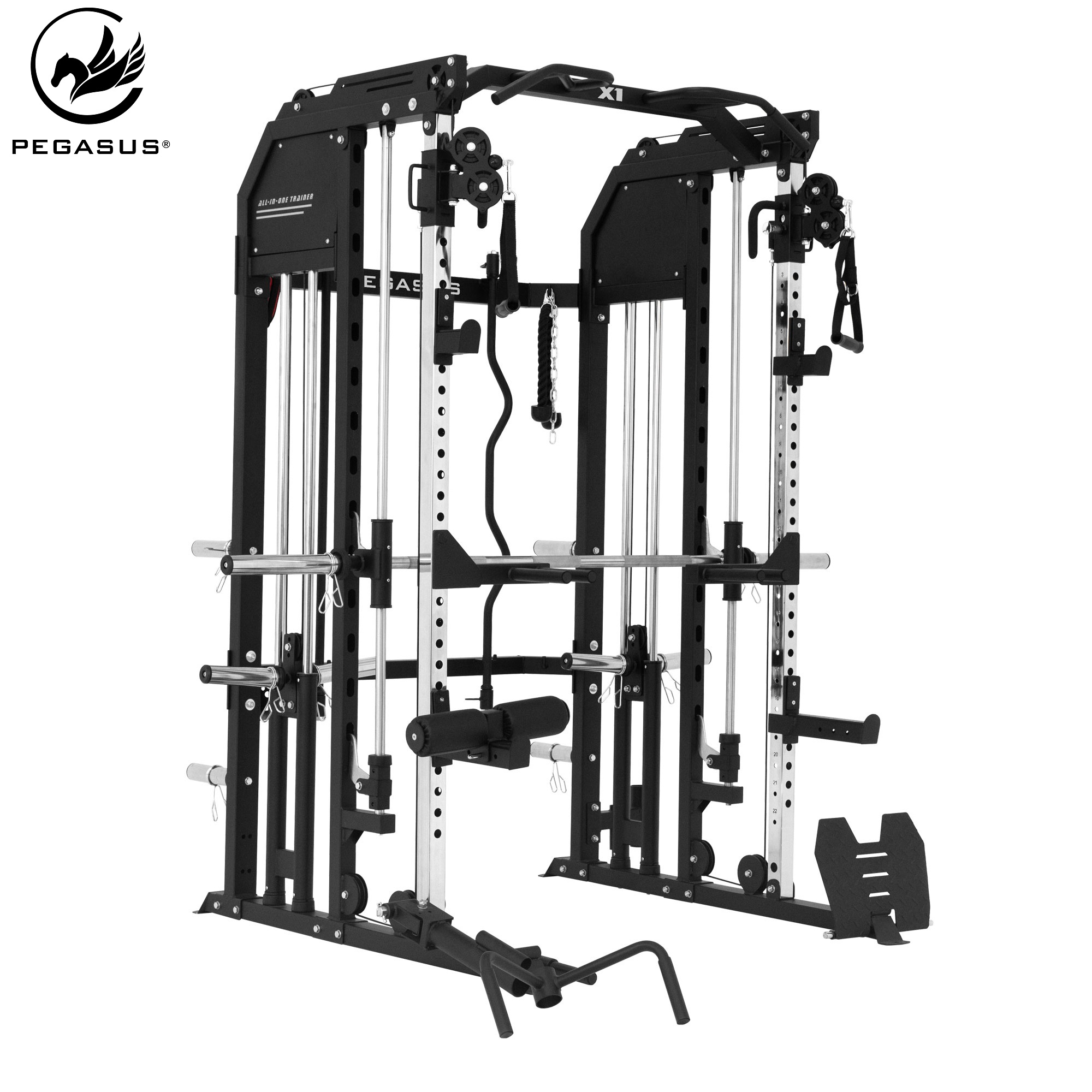 Pegasus® Pegasus® All-in-One Trainer X1 Λ-6340 Pegasus® Pegasus® All-in-One Trainer X1 Λ-6340