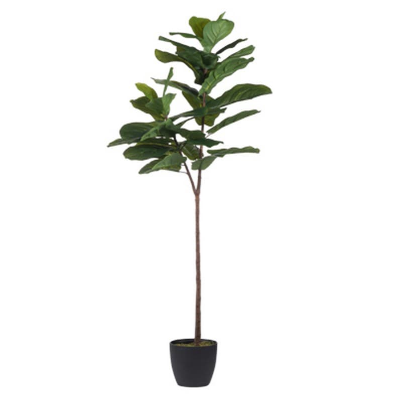 Artekko Tree Πράσινη Πλαστική Τεχνητή Συκιά σε Μαύρο Κασπώ (65x40x150)cm Artekko 29876 Artekko Tree Πράσινη Πλαστική Τεχνητή Συκιά σε Μαύρο Κασπώ (65x40x150)cm Artekko 29876