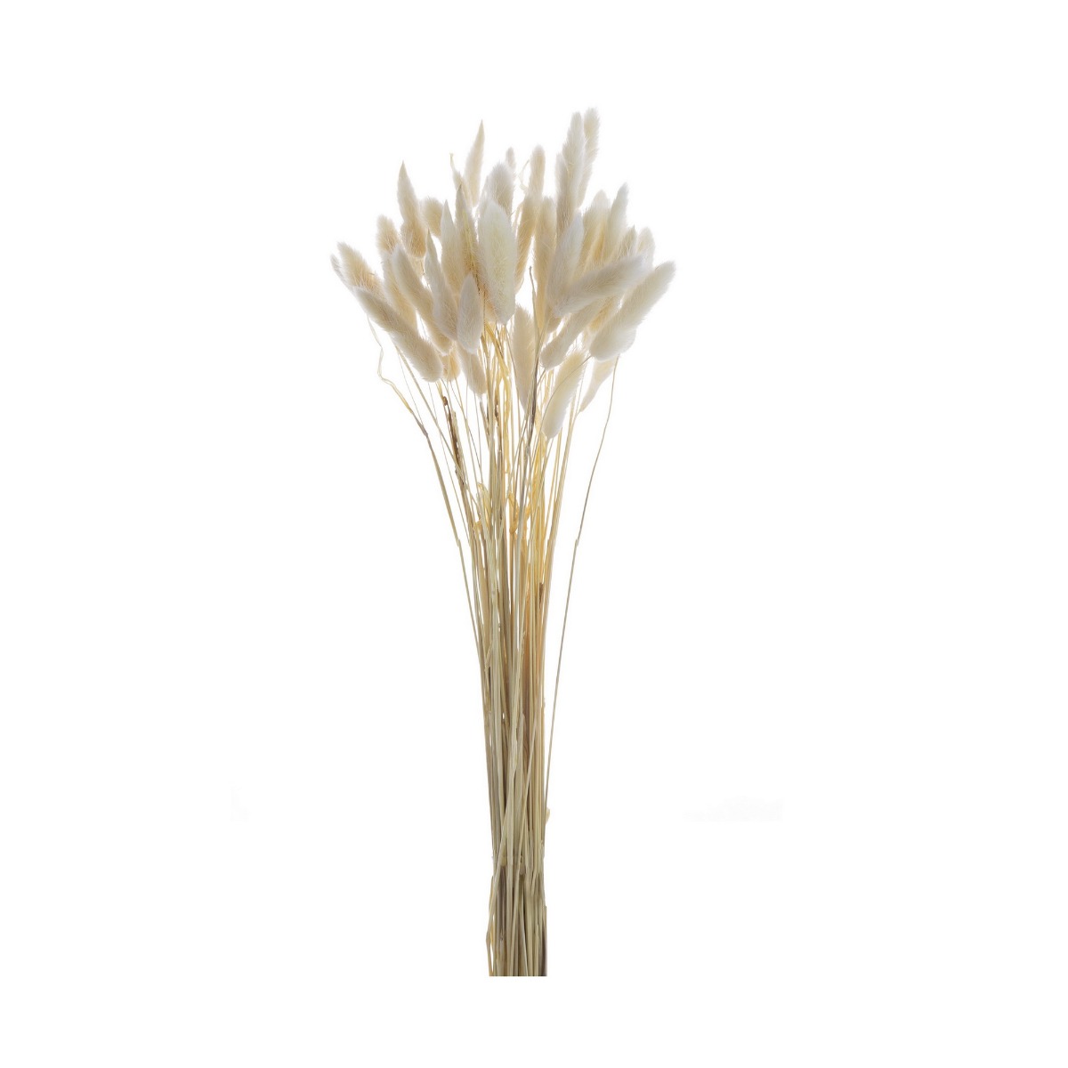 Artekko Pampass Μπουκέτο με Λευκό Πάμπας (20x20x45)cm Artekko 411878-WHIT-AB