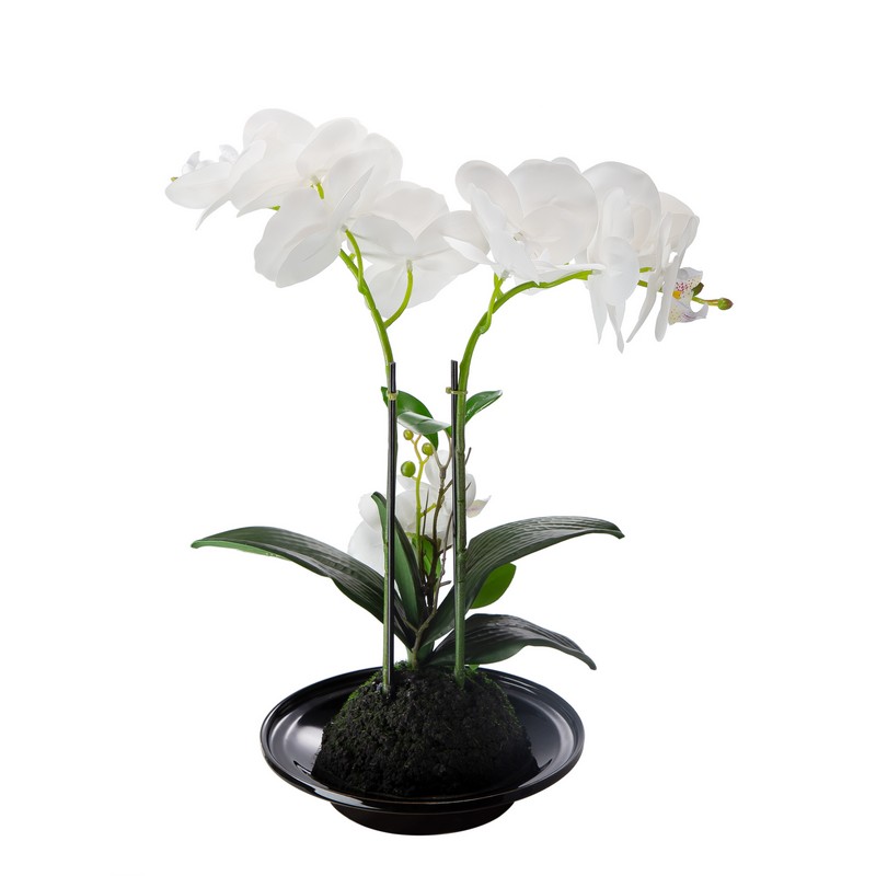 Artekko Orchid Τεχνητή Λευκή Ορχιδέα σε Κεραμικό Μαύρο Κασπώ (32x15x34)cm Artekko 420025-AB Artekko Orchid Τεχνητή Λευκή Ορχιδέα σε Κεραμικό Μαύρο Κασπώ (32x15x34)cm Artekko 420025-AB