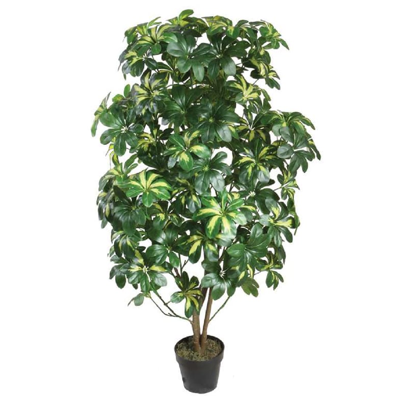 Artekko Kruer Τεχνητή Σεφλέρα 130cm Artekko 6-0036 Artekko Kruer Τεχνητή Σεφλέρα 130cm Artekko 6-0036