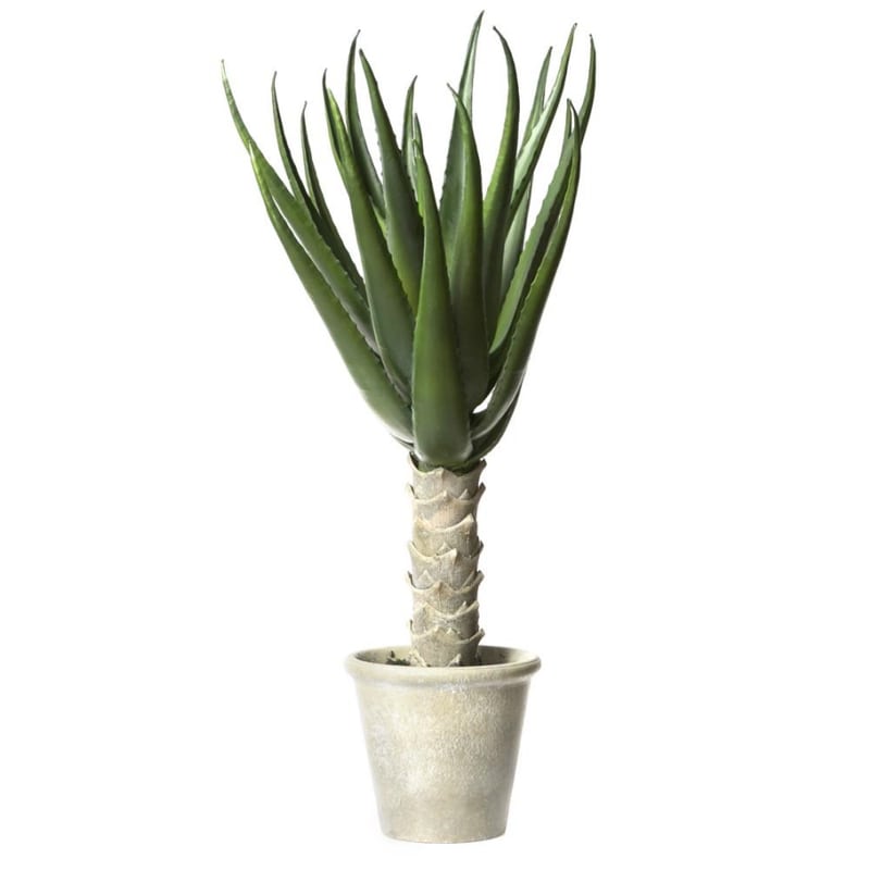 Artekko Kluzlaoth Τεχνητή Αλόη 70cm Artekko 6-0164 Artekko Kluzlaoth Τεχνητή Αλόη 70cm Artekko 6-0164