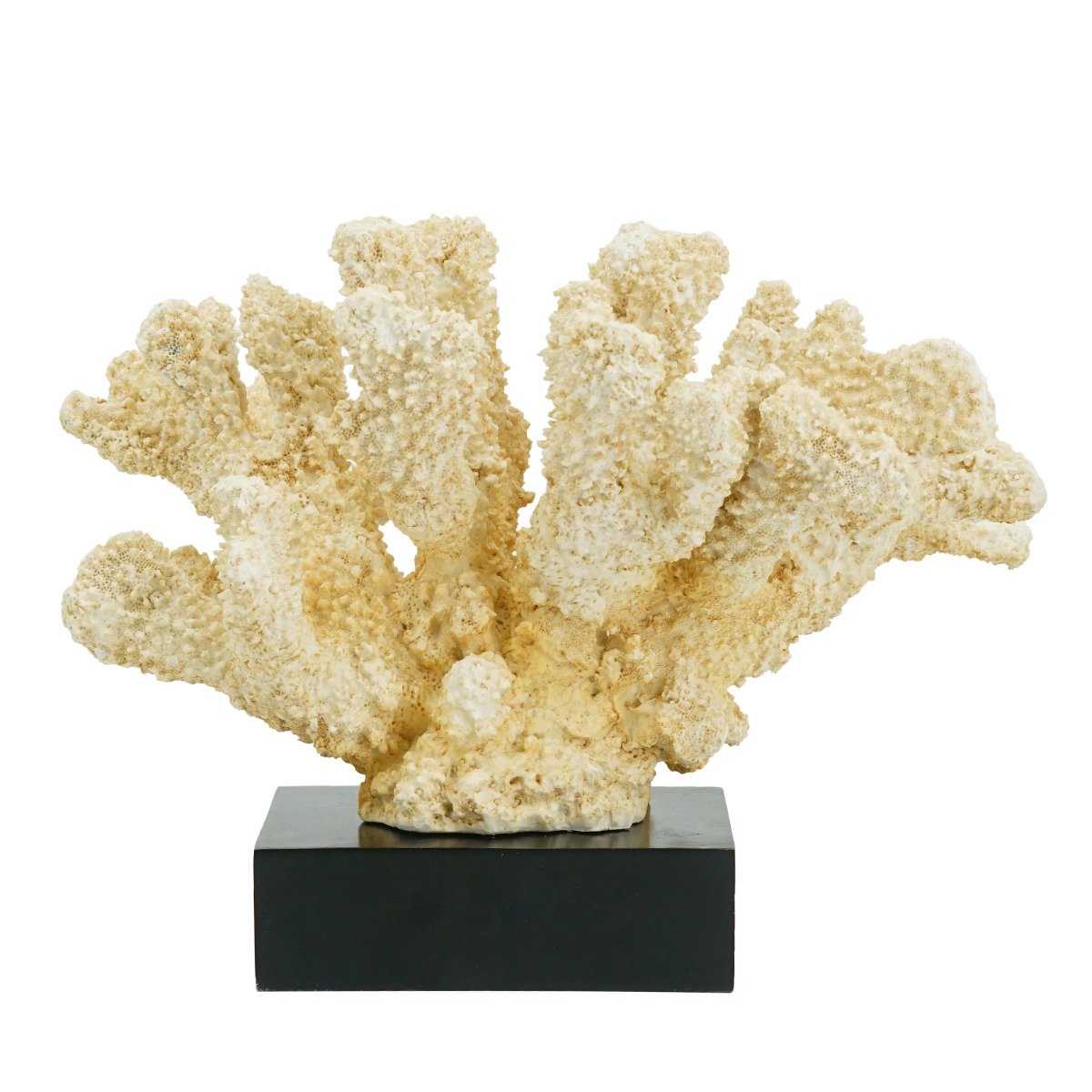 Artekko Coral Διακοσμητικό Κοράλλι σε Βάση Ρητίνη/Ξύλο Μπεζ (28x18x22)cm Artekko 70535