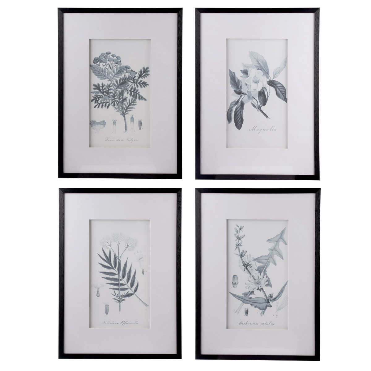 Artekko Botanical Πίνακας με Κορνίζα Πλαστικό Γυαλί Μαύρο Λευκό (50x3x70)cm Σετ/4 Artekko AV43782 Artekko Botanical Πίνακας με Κορνίζα Πλαστικό Γυαλί Μαύρο Λευκό (50x3x70)cm Σετ/4 Artekko AV43782