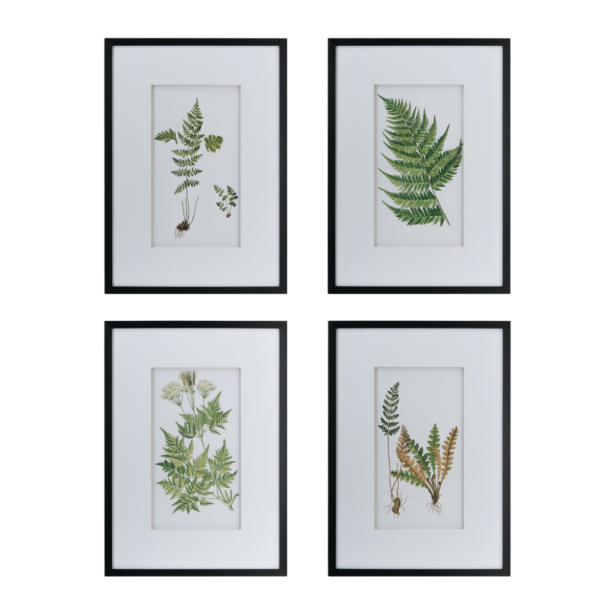 Artekko Botanical Πίνακας με Κορνίζα Πλαστικό Γυαλί Μαύρο Πράσινο (50x3x70)cm Σετ/4 Artekko AV44591 Artekko Botanical Πίνακας με Κορνίζα Πλαστικό Γυαλί Μαύρο Πράσινο (50x3x70)cm Σετ/4 Artekko AV44591