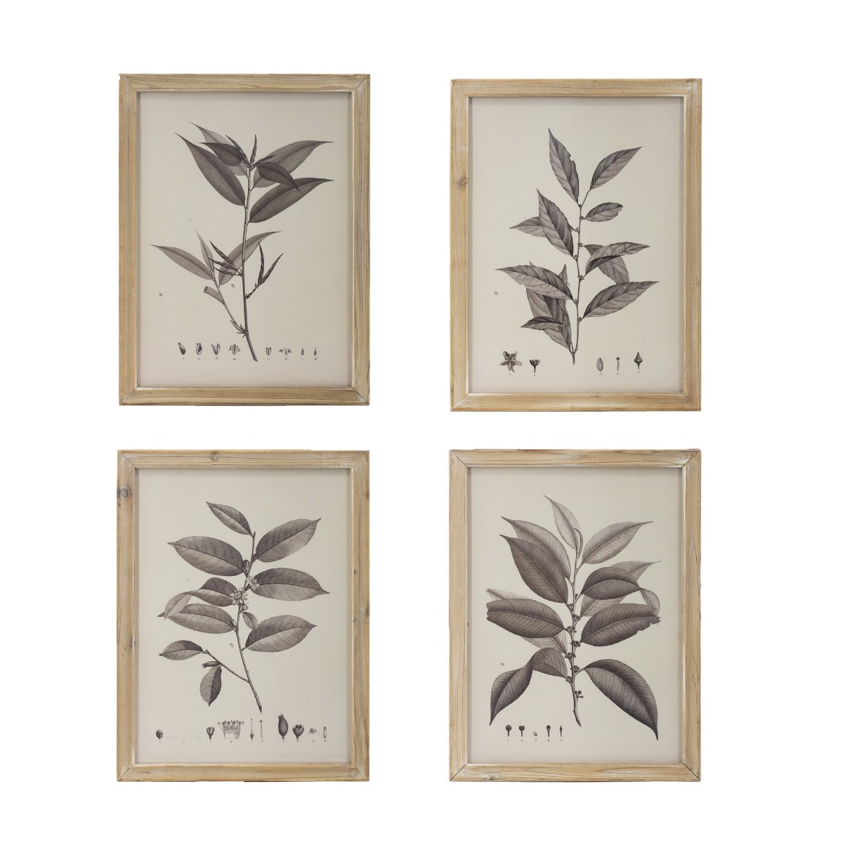 Artekko Botanical Πίνακας με Κορνίζα Ξύλο Εκρού (39.9×1.8×53.1)cm Σετ/4 Artekko SA80196-DS Artekko Botanical Πίνακας με Κορνίζα Ξύλο Εκρού (39.9×1.8×53.1)cm Σετ/4 Artekko SA80196-DS