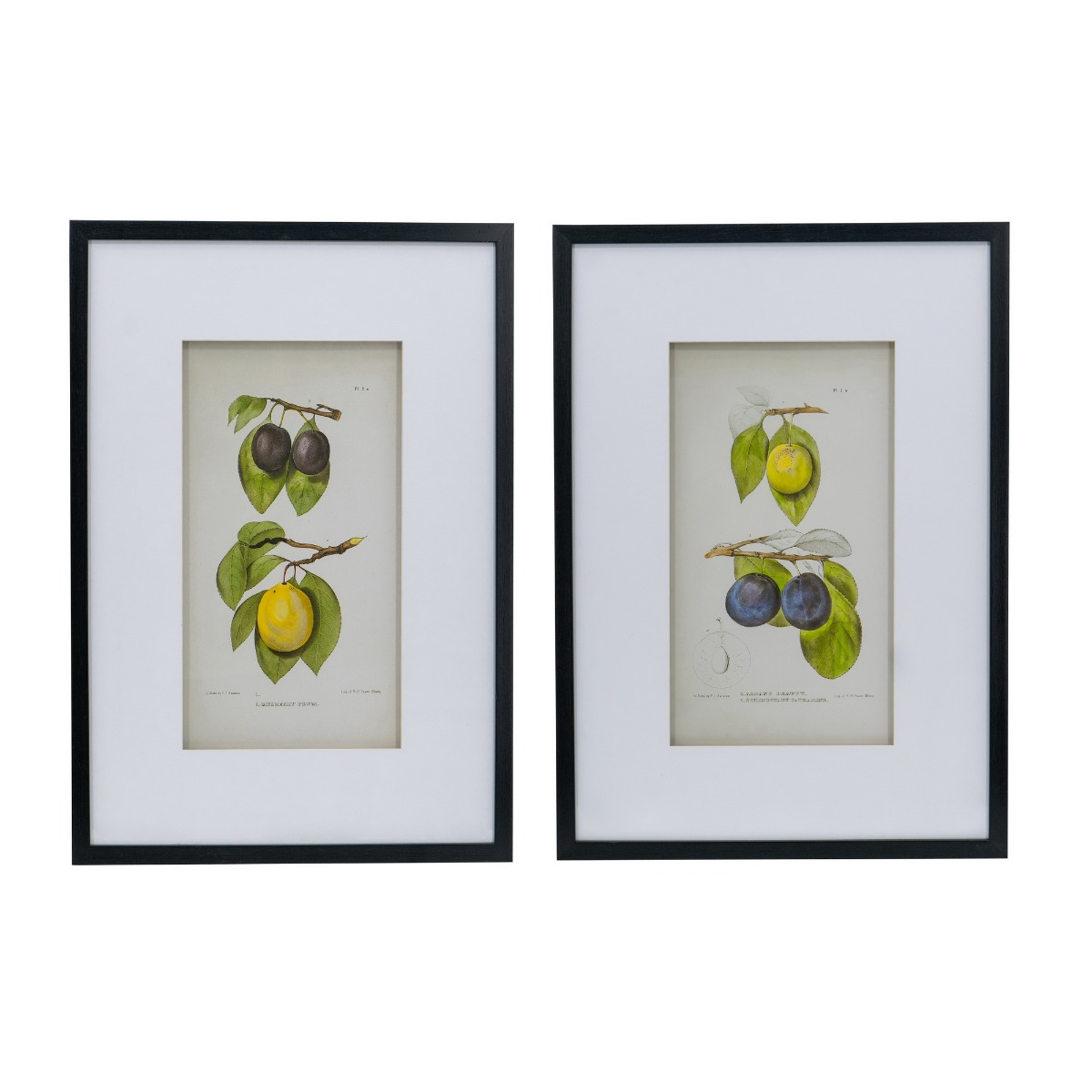 Artekko Botanical Πίνακας με Κορνίζα Πλαστικό Γυαλί Μαύρο Κίτρινο (50x3x70)cm Σετ/2 Artekko SM78453 Artekko Botanical Πίνακας με Κορνίζα Πλαστικό Γυαλί Μαύρο Κίτρινο (50x3x70)cm Σετ/2 Artekko SM78453